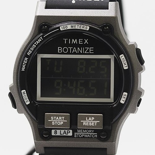 Timex 9933000 ironman - 9933000,